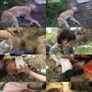 황구농장 이미지