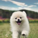 익산약국 이미지