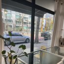 몽발관 | 수원 권선구 강아지 가위컷 전문 몽발소 내돈내산 후기