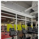 이젠피티 이미지