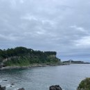 올레카센타 이미지