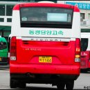 대전면사무소 이미지