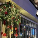 [사당역] 크리스마스 꾸꾸꾸 완료된 사당 카페 오쎄 방문 후기!! +트리 너무 이쁘당🎄