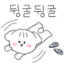 스누즈디저트