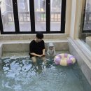 동행키즈풀빌라펜션 이미지