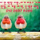 묵1동-010 이미지