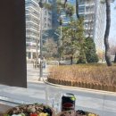 신선식탁 | 가산디지털단지역 샐러드 맛집, 신선식탁 방문 후기 🥗