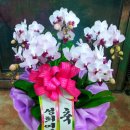 길주중학교 이미지