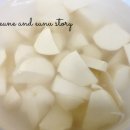 아어가지 이미지