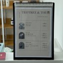 테오트리&더수