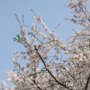 주식회사 만개 네이버블로그