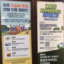 모범카서비스 | 제주여행 탐나는전 이벤트 친환경 전기차 렌터카 2만원, 제주 가심비 맛집 여행 인증 2만원 참여완료
