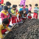 이시골 목장2 이미지