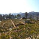 부부목장 이미지