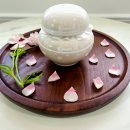 씨엘로펫 이미지