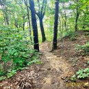 금남면사무소 이미지