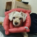 비트켄넬 이미지