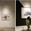 소다미술관 이미지