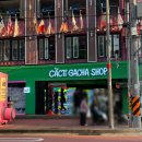 짱인형 SHOP 이미지