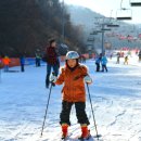 무무관화랑합기도 이미지