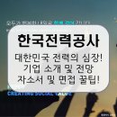 디마인드1 태양광발전소 | 한국전력공사, 전기를 넘어 미래를 밝히는 꿈! 이 회사의 인기 이유와 취업 정보 [이공계 밥벌이]