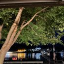 별빛나루펜션 이미지