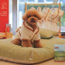 object의 신화 이미지