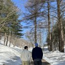 석현목장 | 대관령 양떼목장 주차장 입장료 관람시간