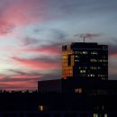 행정사사무소 도약 이미지