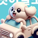 댕댕이 이발소 이미지