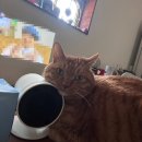 와이낫양양 이미지