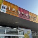 마포농수산물시장 | 마포 농수산물시장 횟집 성원유통, 봄도다리 포장 후기! 봄 제철회 제대로 즐기기