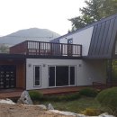 씨홀스 Daum카페
