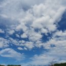 봉선2동작은도서관 이미지