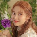 다이아컴퍼니 이미지