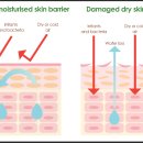 새움한의원 이미지