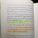 초록효소