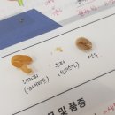 강승희제과제빵커피학원