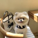 아이라이크 이미지
