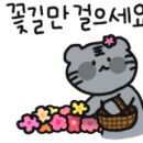 효성 현대1차아파트 이미지