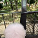 구공이일공 이미지
