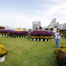 서구청 옥상생태공원 이미지