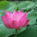 구레울체험마을 이미지