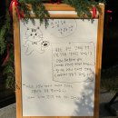 고양이숲 | 사상 숲속 고양이 카페 우디브룩 방문후기