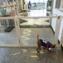 대경연합동물영상센터 이미지