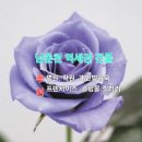 동서빌딩 이미지