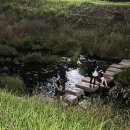 맘스터치 마산현동점 이미지