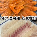 고성횟집 | 하단 동아대 근처 고성횟집 솔직후기