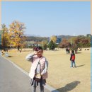[쪼쪼네집] 2019. 11. 02. 글램핑??ㅋㅋ 연천세계캠핑체험존. 아이와함께 여행. 서울근교여행