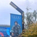 온즈믄 | 251101 YUURI 유우리 내한 첫콘 후기 : 드디어 비행선 라이브 듣다!